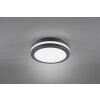 Reality KENDAL Buitenshuis plafond verlichting LED Antraciet, 1-licht