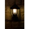 Rabalux Nizza Buiten muurverlichting Goud, Messing, Transparant, Helder