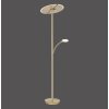Paul Neuhaus ARTUR Staande lamp LED Messing, 1-licht