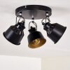 Safari Plafondlamp Zwart, 3-lichts