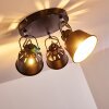 Safari Plafondlamp Zwart, 3-lichts