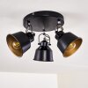 Safari Plafondlamp Zwart, 3-lichts