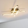 Voltti Plafondlamp LED Zwart, 4-lichts