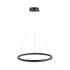 Paul Neuhaus TITUS Hanglamp LED Antraciet, 1-licht