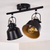 Safari Plafondlamp Zwart, 2-lichts