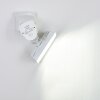 Loit Buiten muurverlichting LED Wit, 1-licht, Bewegingsmelder