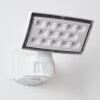 Loit Buiten muurverlichting LED Wit, 1-licht, Bewegingsmelder