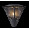 GLOBO Flux Buitenlamp Antraciet, 1-licht
