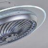 Tamworth plafondventilator LED Zilver, Transparant, Helder, 1-licht, Afstandsbediening