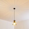 Ayen Hanger Zwart, 1-licht