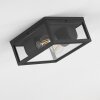 Kiwalik Buitenshuis plafond verlichting Antraciet, 1-licht