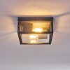 Kiwalik Buitenshuis plafond verlichting Antraciet, 1-licht