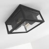 Kiwalik Buitenshuis plafond verlichting Antraciet, 1-licht