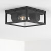 Kiwalik Buitenshuis plafond verlichting Antraciet, 1-licht