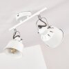 Safari Plafondlamp Wit, 2-lichts