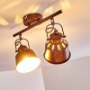 Safari Plafondlamp Roest, 2-lichts