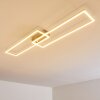 Ceva Plafondlamp LED Zilver, 2-lichts, Afstandsbediening