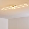 Ceva Plafondlamp LED Zilver, 2-lichts, Afstandsbediening