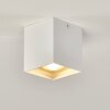 Curacao Plafondlamp Wit, 1-licht