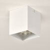 Curacao Plafondlamp Wit, 1-licht