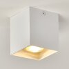 Curacao Plafondlamp Wit, 1-licht