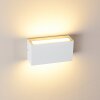 Duluth Buiten muurverlichting LED Wit, 1-licht