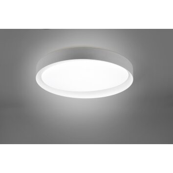 Reality Zeta Plafondlamp LED Grijs, 1-licht, Afstandsbediening