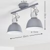 Dompierre Plafondlamp Grijs, Wit, 2-lichts
