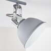 Dompierre Plafondlamp Grijs, Wit, 2-lichts