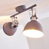 Dompierre Plafondlamp Grijs, Wit, 2-lichts