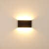 Marsh Buiten muurverlichting LED Zwart, 2-lichts