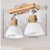 Orny Plafondlamp Wit, 2-lichts