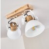 Orny Plafondlamp Wit, 2-lichts