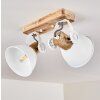 Orny Plafondlamp Wit, 2-lichts