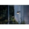 Philips Cormorant Buiten muurverlichting Zwart, 1-licht