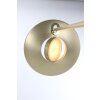 Steinhauer ZENITH Staande lampen LED Messing, 2-lichts