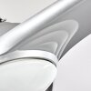 Sanford plafondventilator Zilver, 1-licht, Afstandsbediening