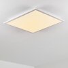 Salmi Plafondlamp LED Wit, 1-licht, Afstandsbediening, Kleurwisselaar