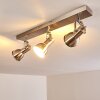 Danikon Plafondlamp Nikkel mat, 3-lichts