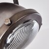 Glostrup Plafondlamp Bruin, roestvrij staal, 1-licht