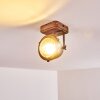 Glostrup Plafondlamp Bruin, roestvrij staal, 1-licht