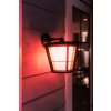 Philips Hue Ambiance White & Color Econic Wandlamp LED Zwart, 1-licht, Kleurwisselaar
