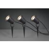 Trio Ubangi Spotlamp Antraciet, 3-lichts