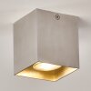 Curacao Plafondlamp Zilver, 1-licht