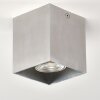 Curacao Plafondlamp Zilver, 1-licht
