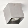 Curacao Plafondlamp Zilver, 1-licht