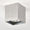 Curacao Plafondlamp Zilver, 1-licht