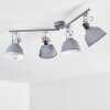 Dompierre Plafondlamp Grijs, Wit, 4-lichts
