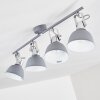 Dompierre Plafondlamp Grijs, Wit, 4-lichts