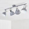 Dompierre Plafondlamp Grijs, Wit, 4-lichts